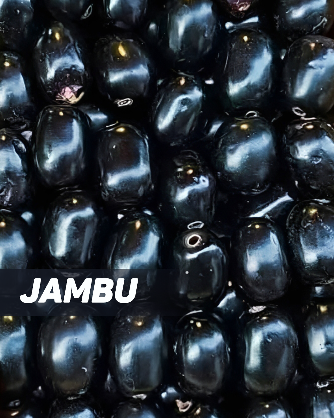 Jambu