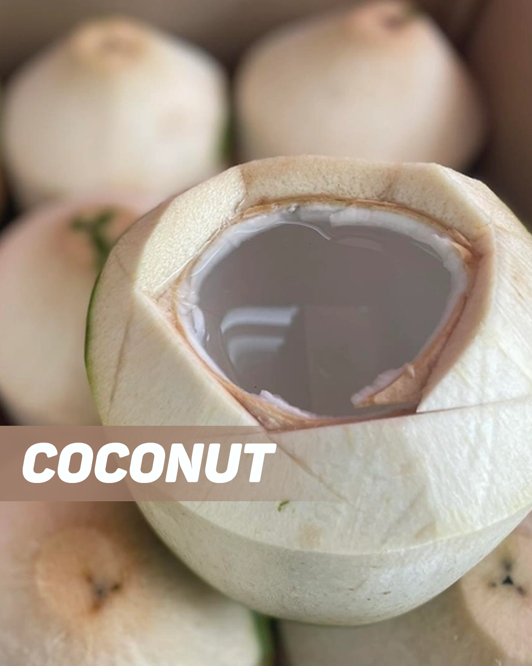 Coconut