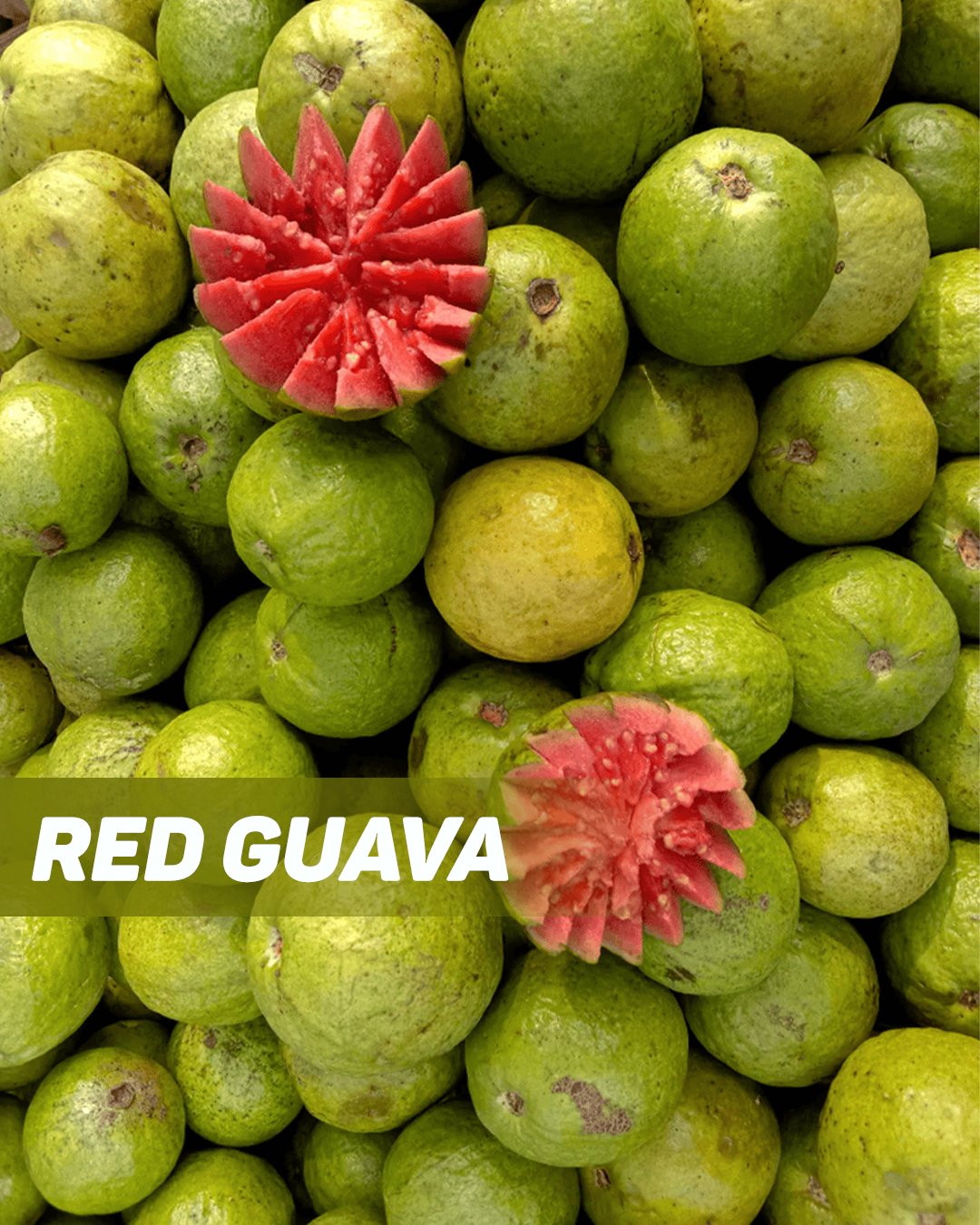 Red Guava