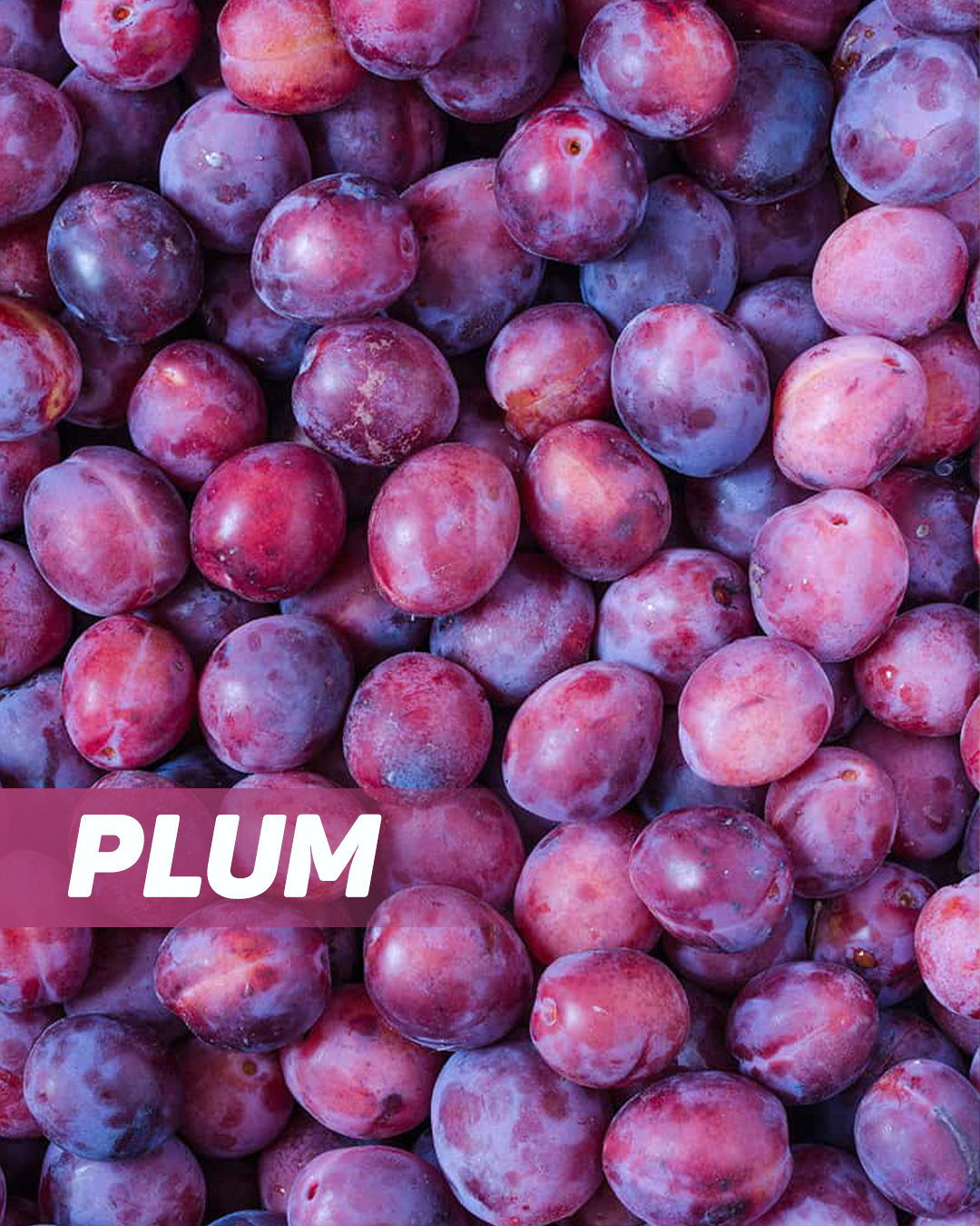 Plum