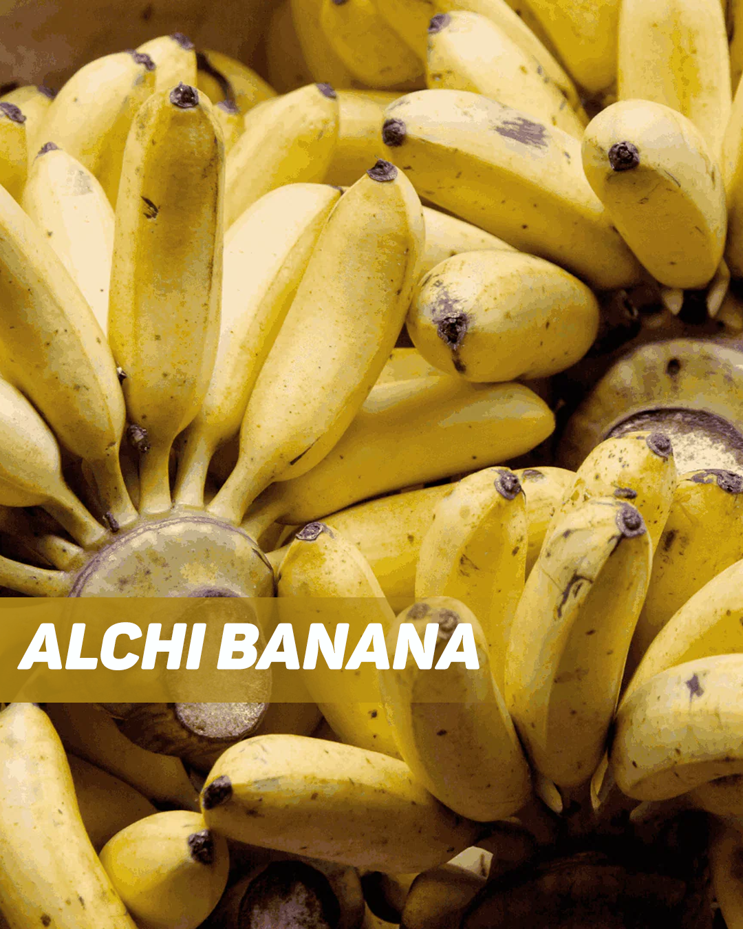 Alchi Banana