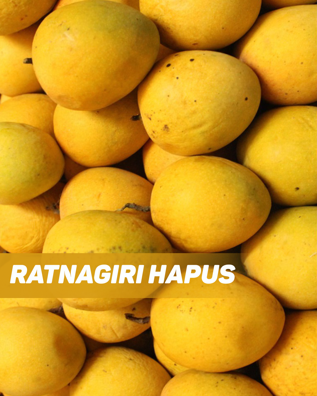 Ratnagiri Hapus