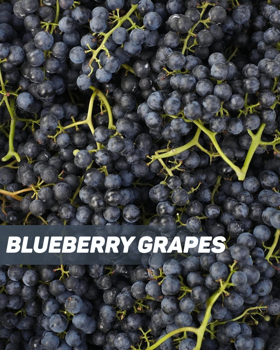 Blueberry Grapes