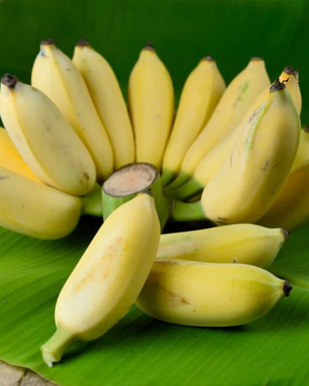Alchi Banana