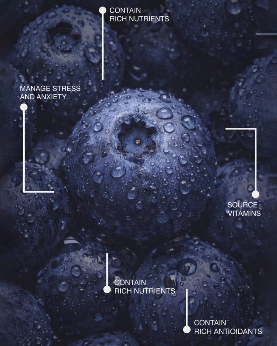 Blueberry