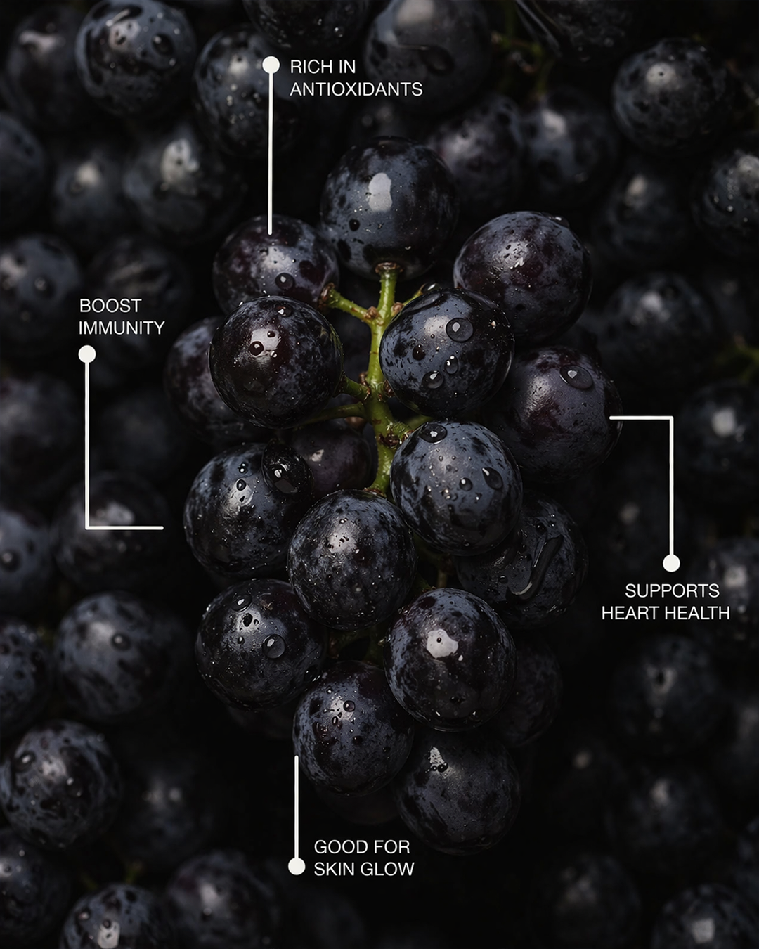 Blueberry Grapes