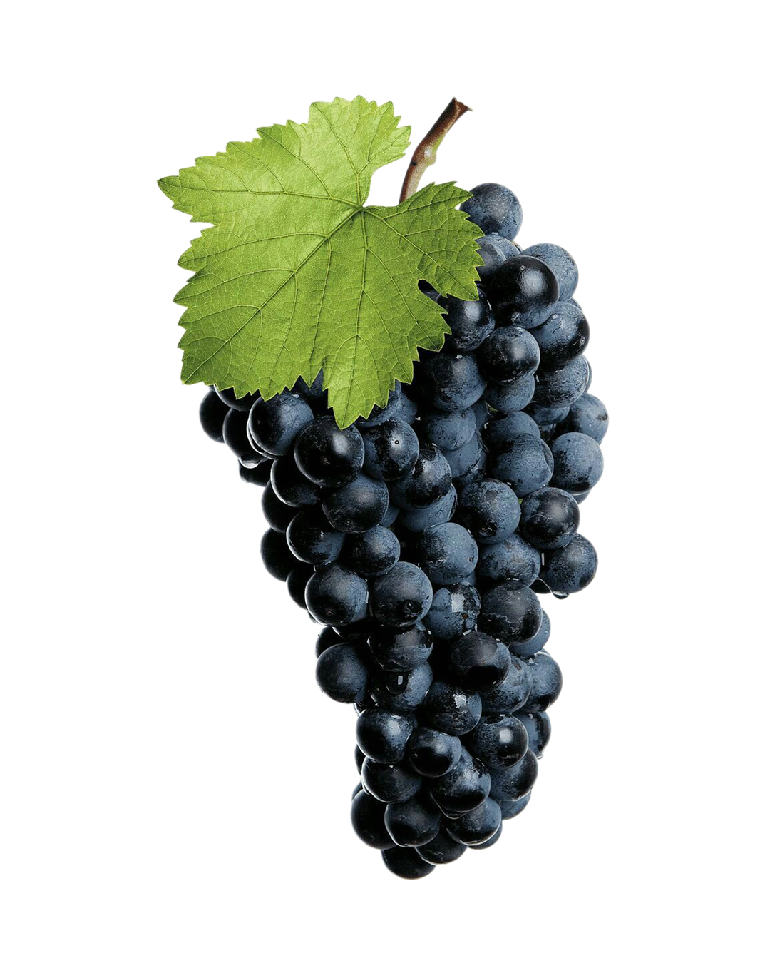 Blueberry Grapes